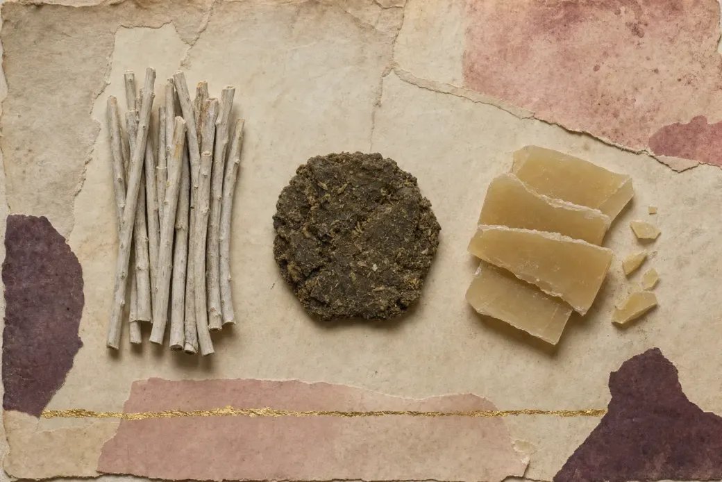Three stages of one wax: slender leafless stems dulled by the pale coat the desert plant grows; a dark greenish-brown cake of crude wax skimmed off the boil; hard pale-yellow refined slabs snapped to a brittle edge.