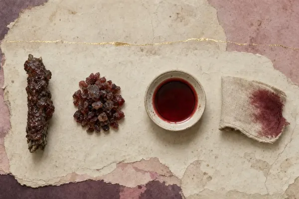 A twig thickly encrusted with dark red-brown lac resin, a heap of broken resin granules, a dish of deep crimson liquid and a corner of textile dyed the same crimson, laid out in a row.