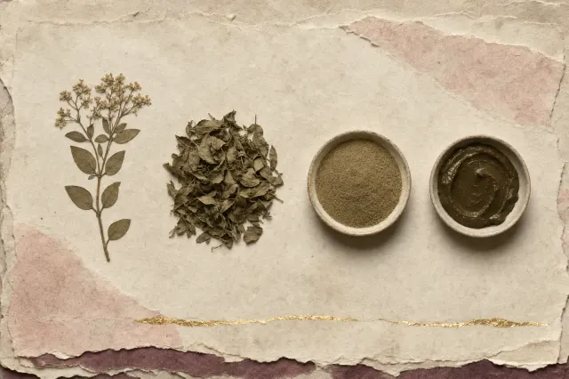 A pressed sprig of henna with leaves and small flowers, a heap of dried whole leaves, a dish of fine green powder and a dish of the same powder mixed into a dark paste, laid out in a row.