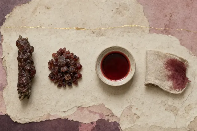 A twig thickly encrusted with dark red-brown lac resin, a heap of broken resin granules, a dish of deep crimson liquid and a corner of textile dyed the same crimson, laid out in a row.