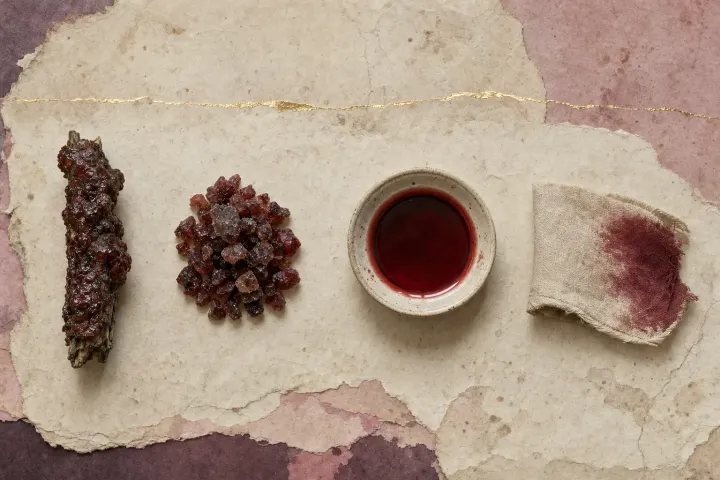 A twig thickly encrusted with dark red-brown lac resin, a heap of broken resin granules, a dish of deep crimson liquid and a corner of textile dyed the same crimson, laid out in a row.