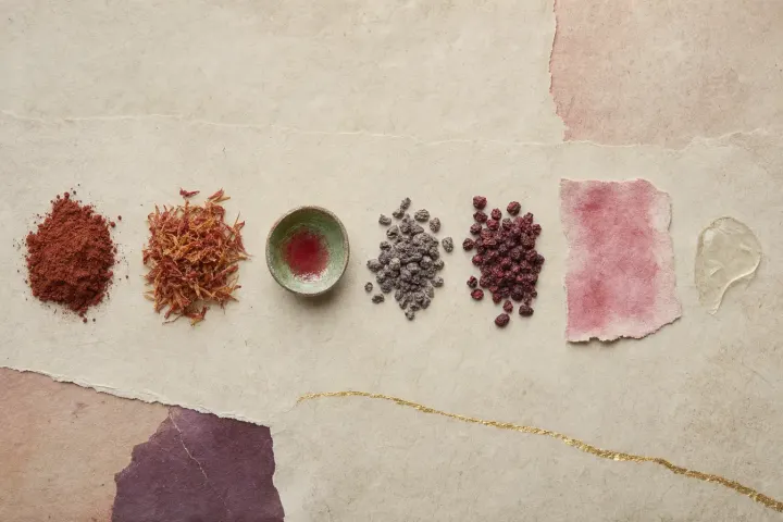 Lip reds set out as specimens: ground rust-red ochre; dried safflower petals beside a cup lined with the iridescent green film safflower red dries to; shrivelled insects heaped with the crimson they crush to.